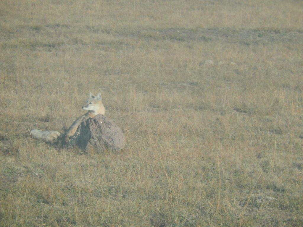 Northern Mongolia 031