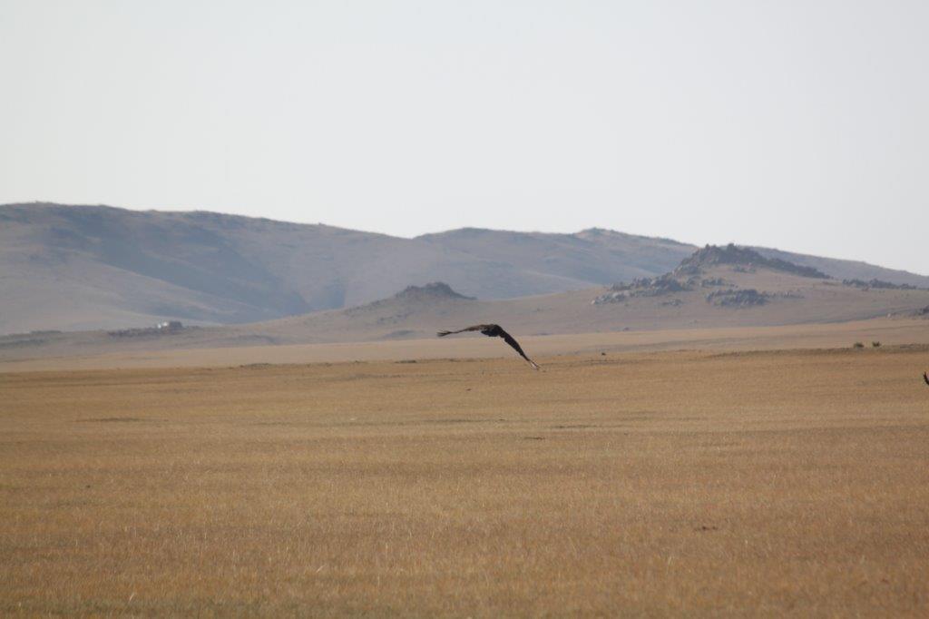 Northern Mongolia 034