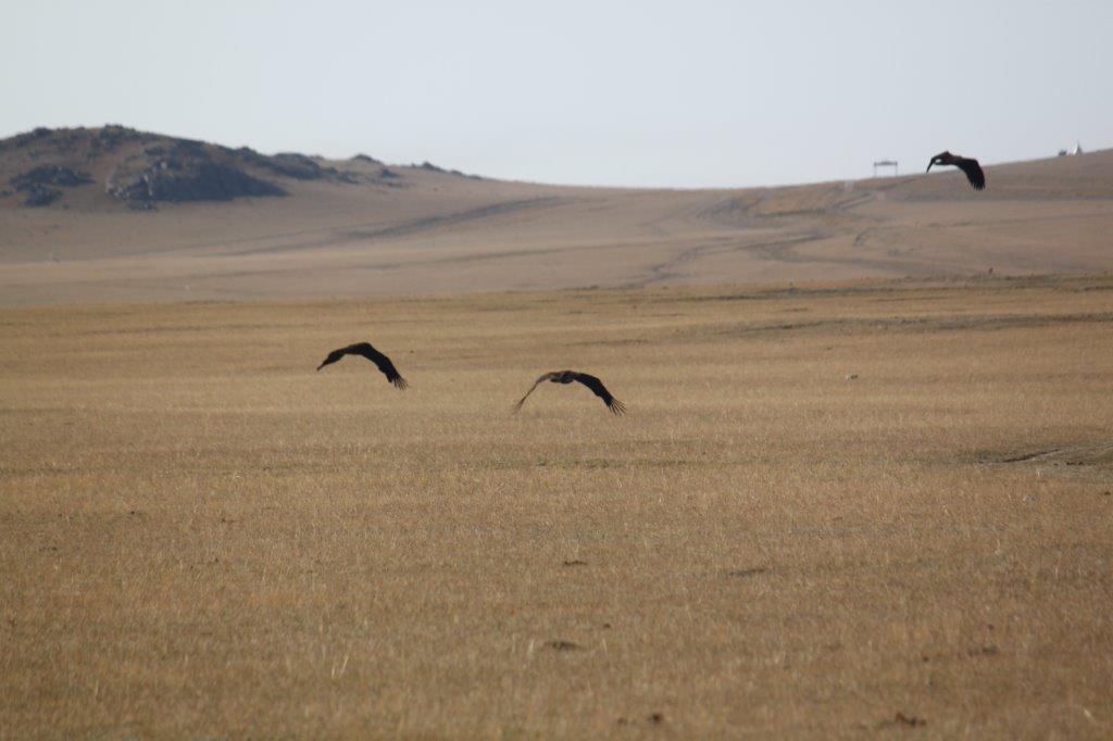 Northern Mongolia 035
