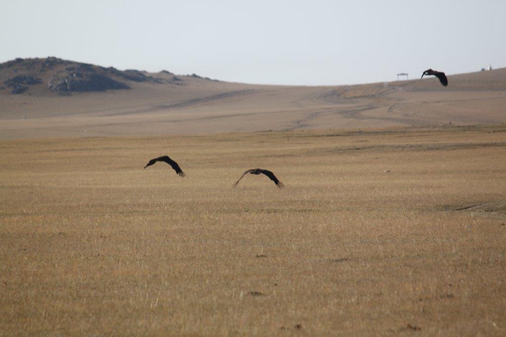 Northern Mongolia 035