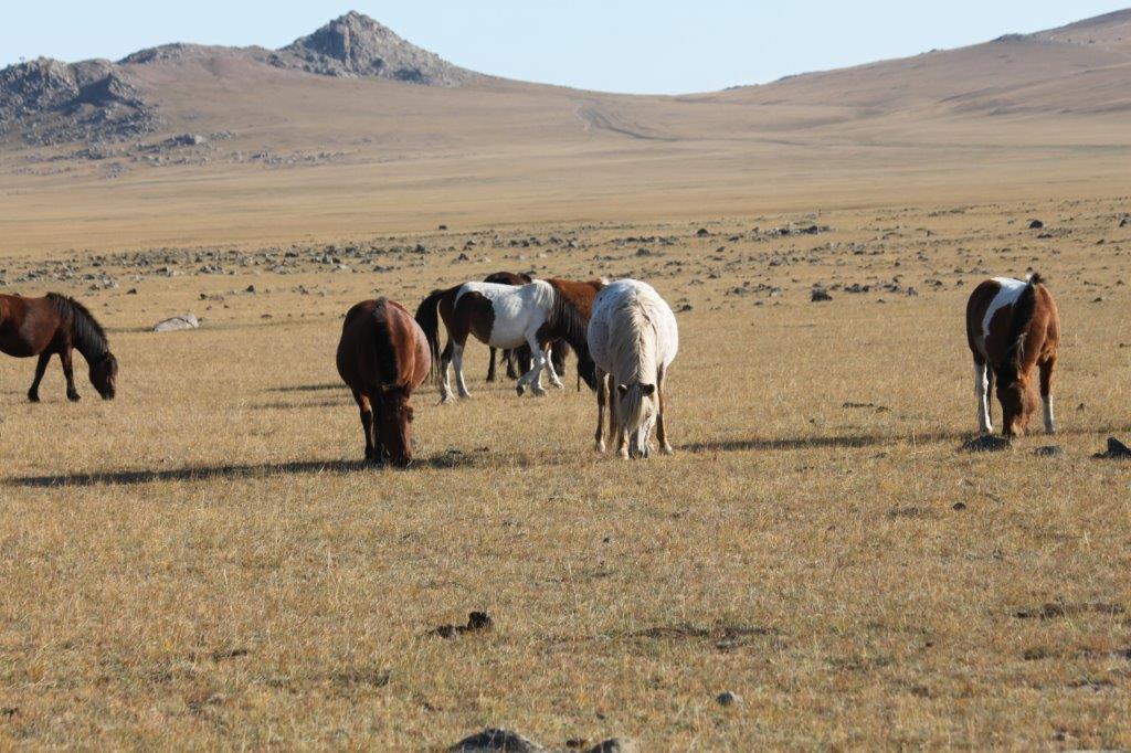 Northern Mongolia 064