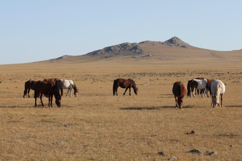 Northern Mongolia 065