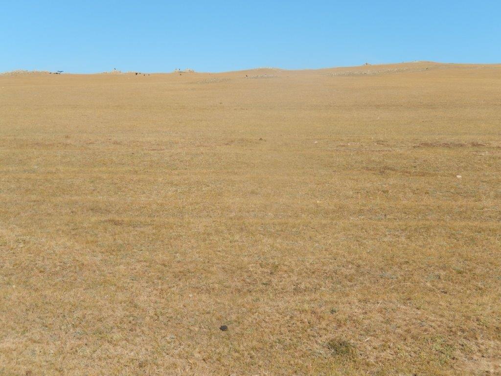 Northern Mongolia 082