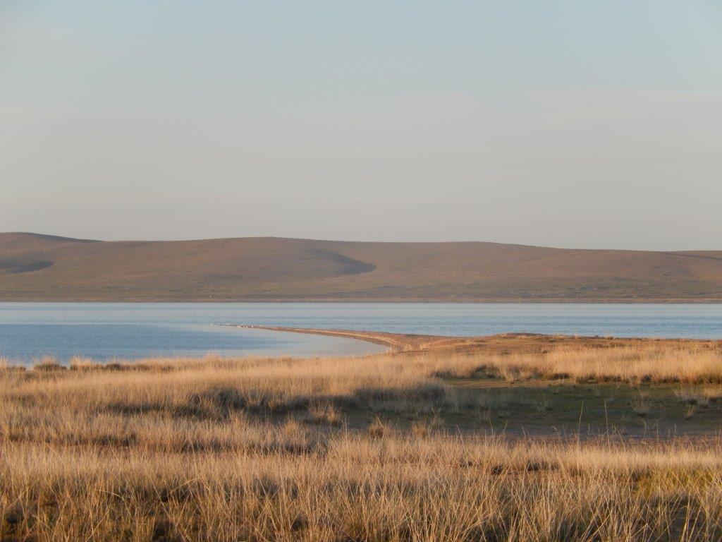 Lake Ugii2 012