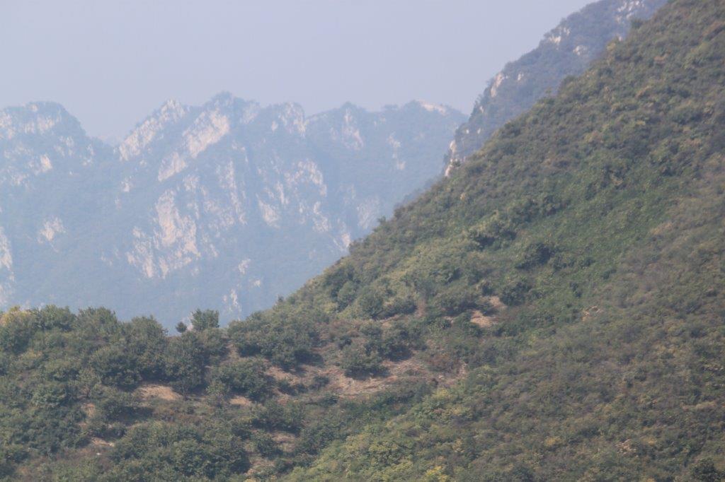 Mutianyu (122)