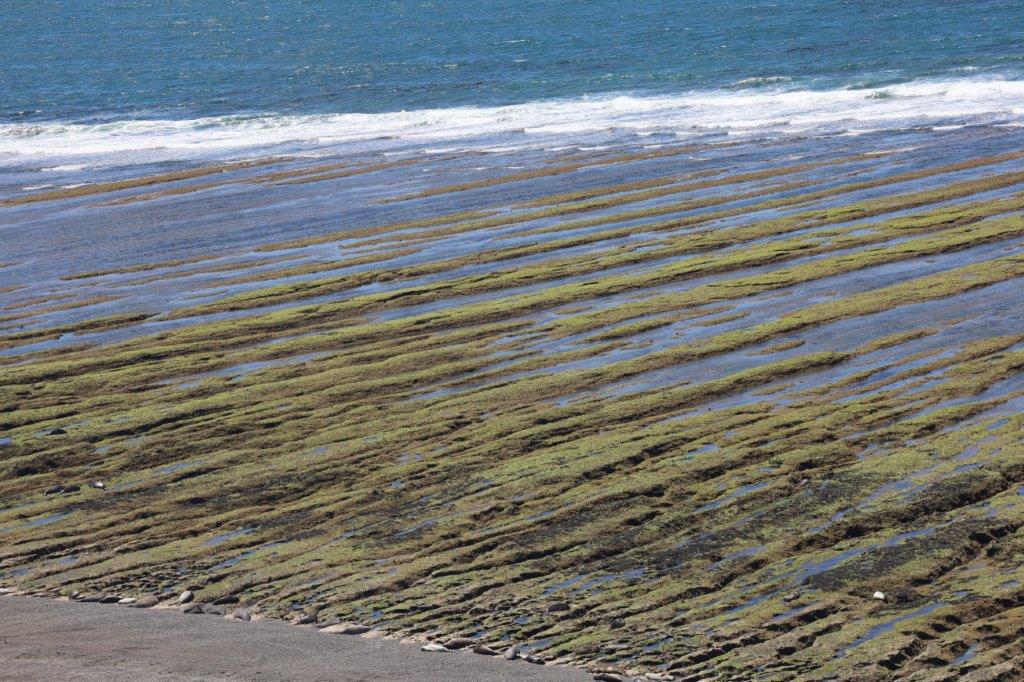 AtlanticCoastE (119)