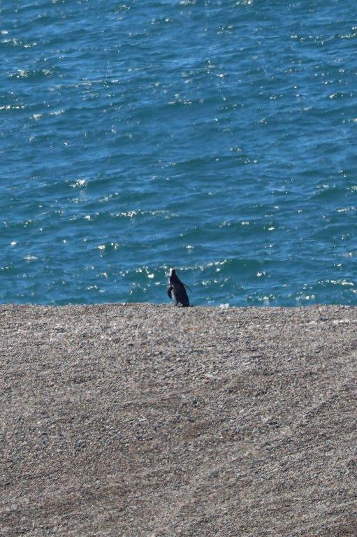AtlanticCoastE (162)