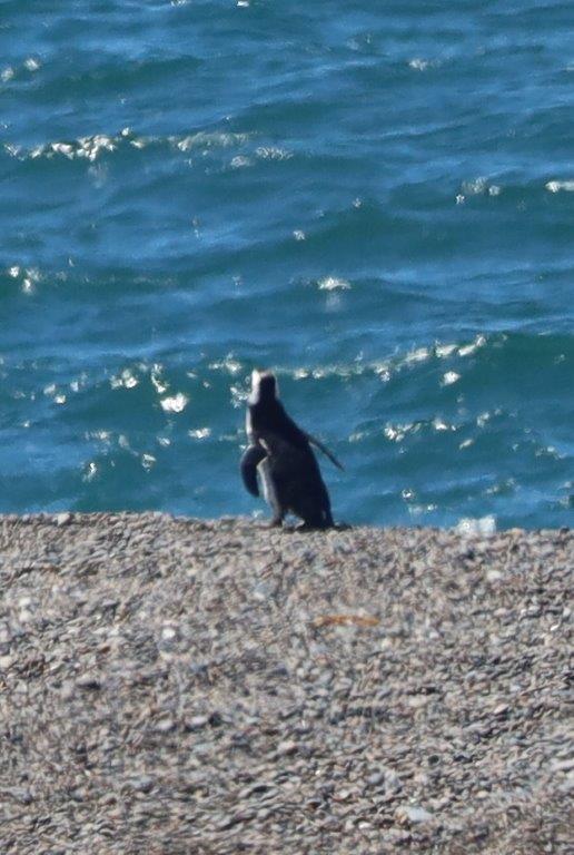 AtlanticCoastE (163)