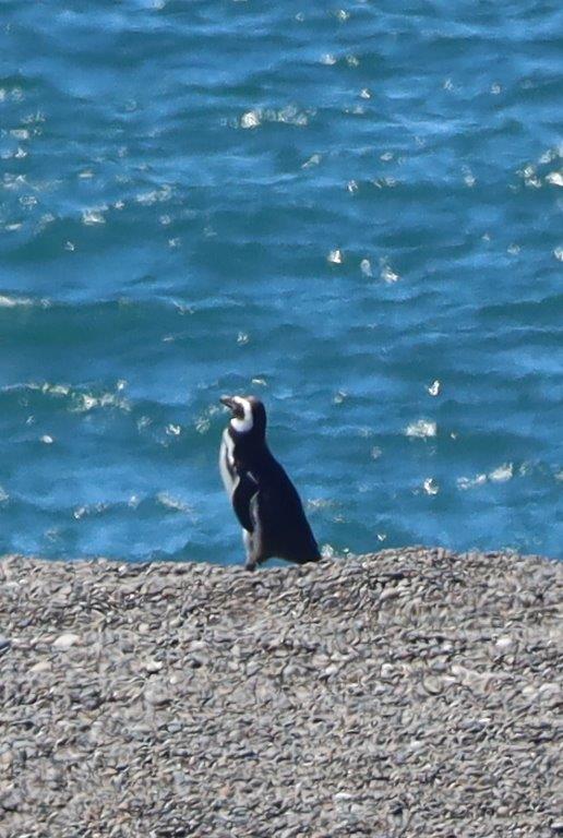 AtlanticCoastE (164)