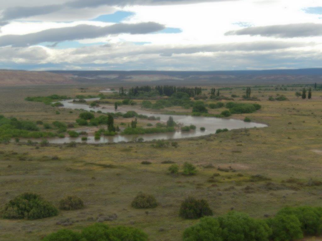 PatagonianDesertC (86)