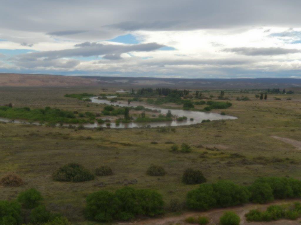 PatagonianDesertC (90)