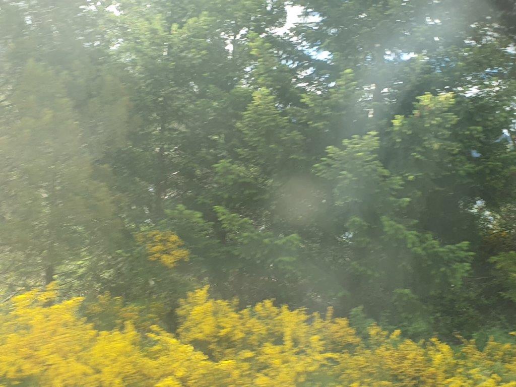 NorthernLakeDistrictM (11)