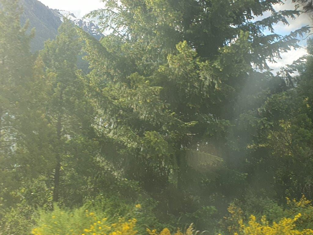 NorthernLakeDistrictM (12)