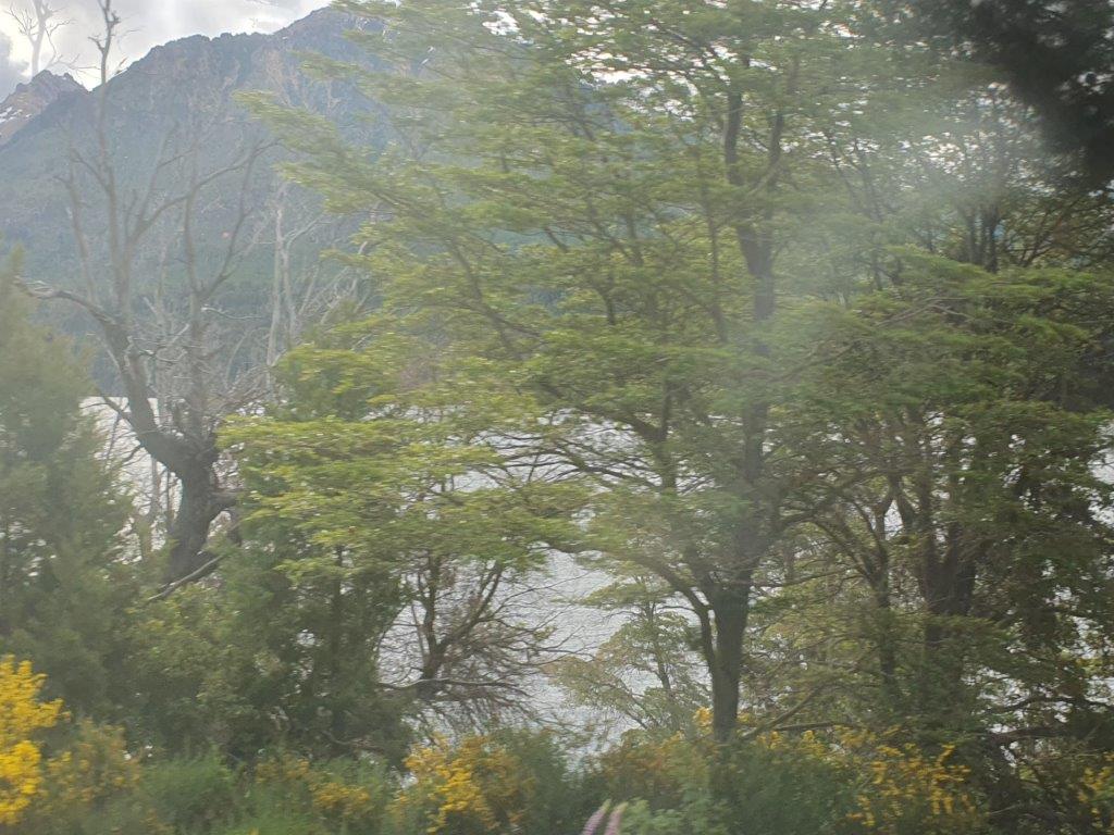 NorthernLakeDistrictM (13)