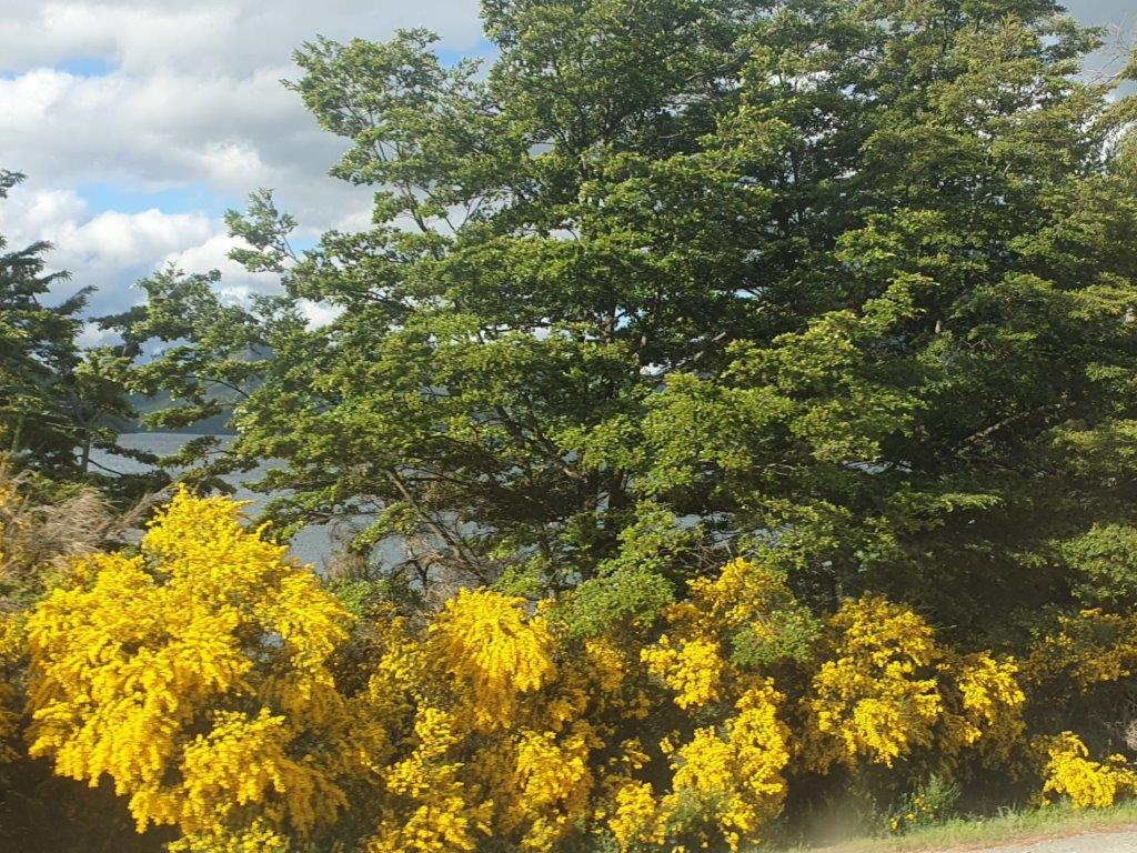 NorthernLakeDistrictM (5)