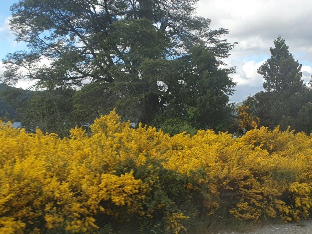 NorthernLakeDistrictM (8)