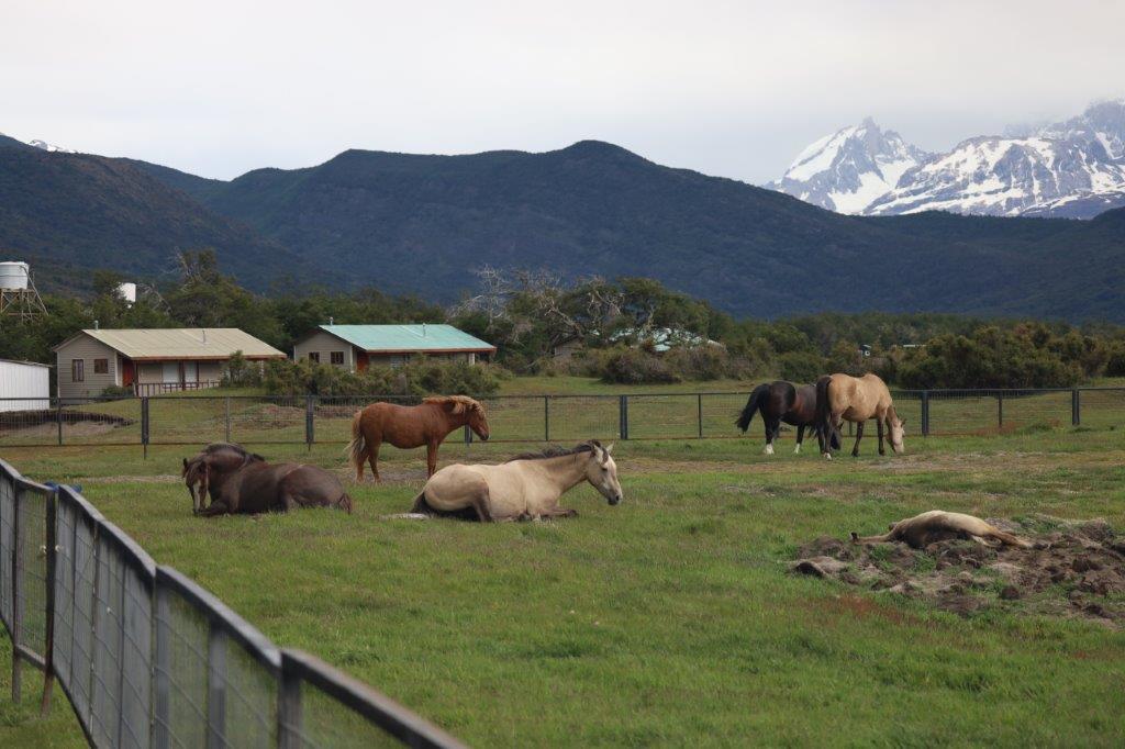 TorresdelPaineE_Cabanas (1)