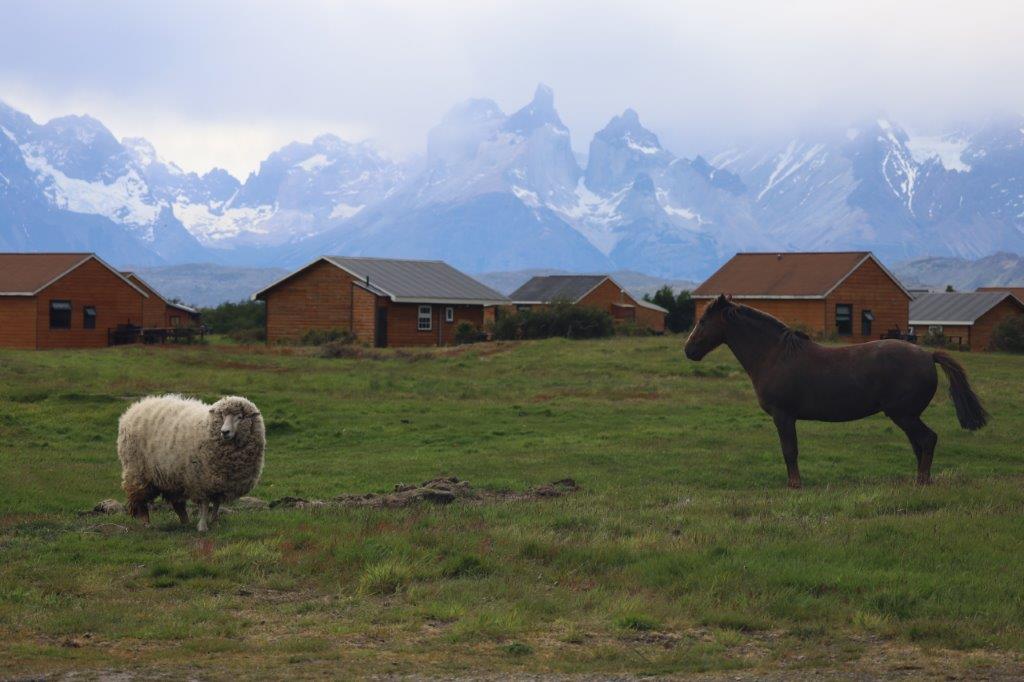 TorresdelPaineE_Cabanas (19)