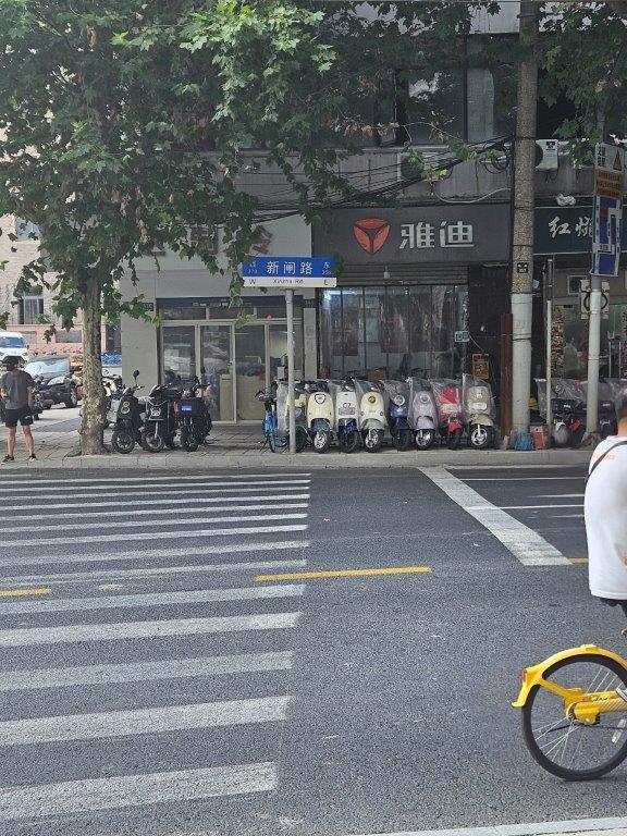 ShanghaiM (17)
