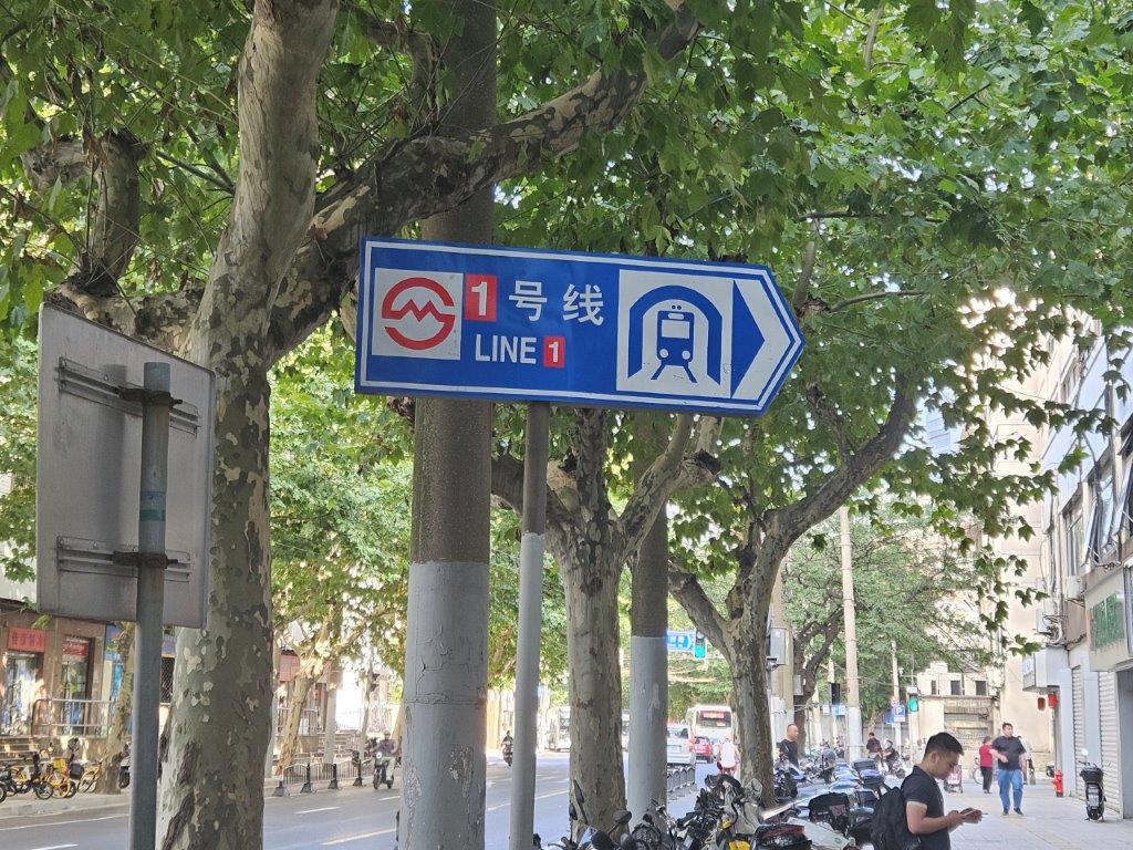 ShanghaiM (18)