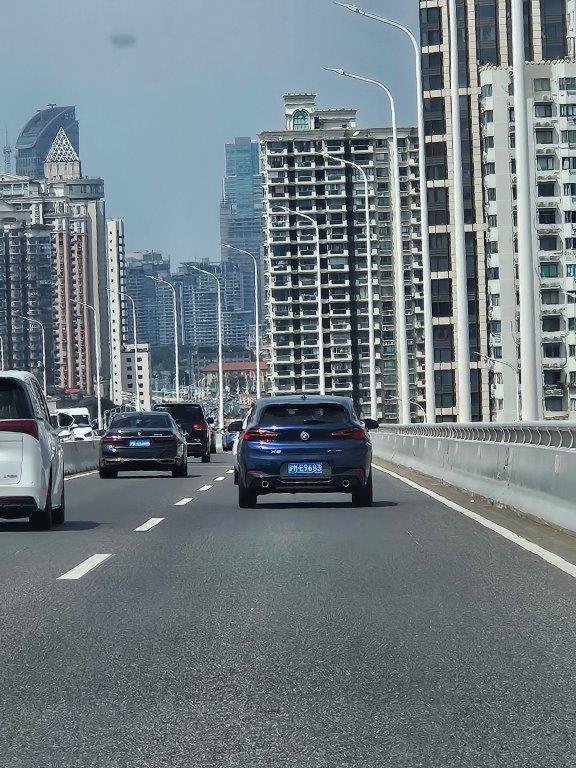 ShanghaiM (3)