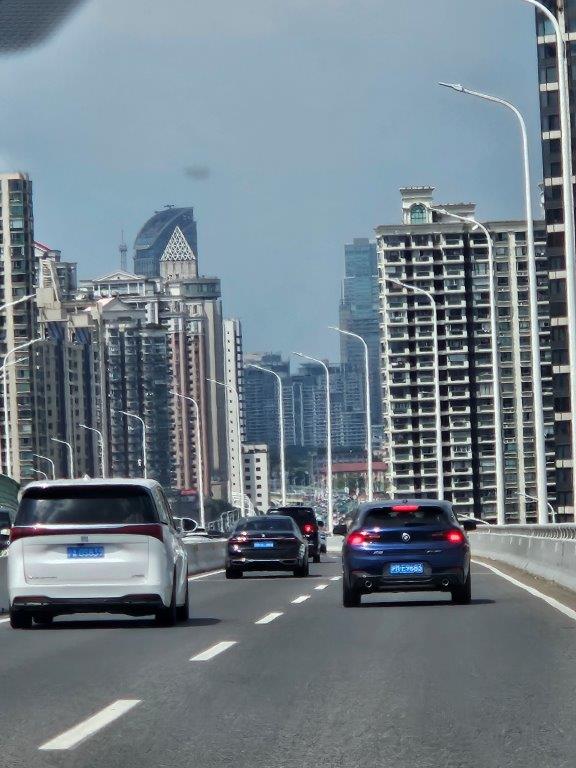 ShanghaiM (4)
