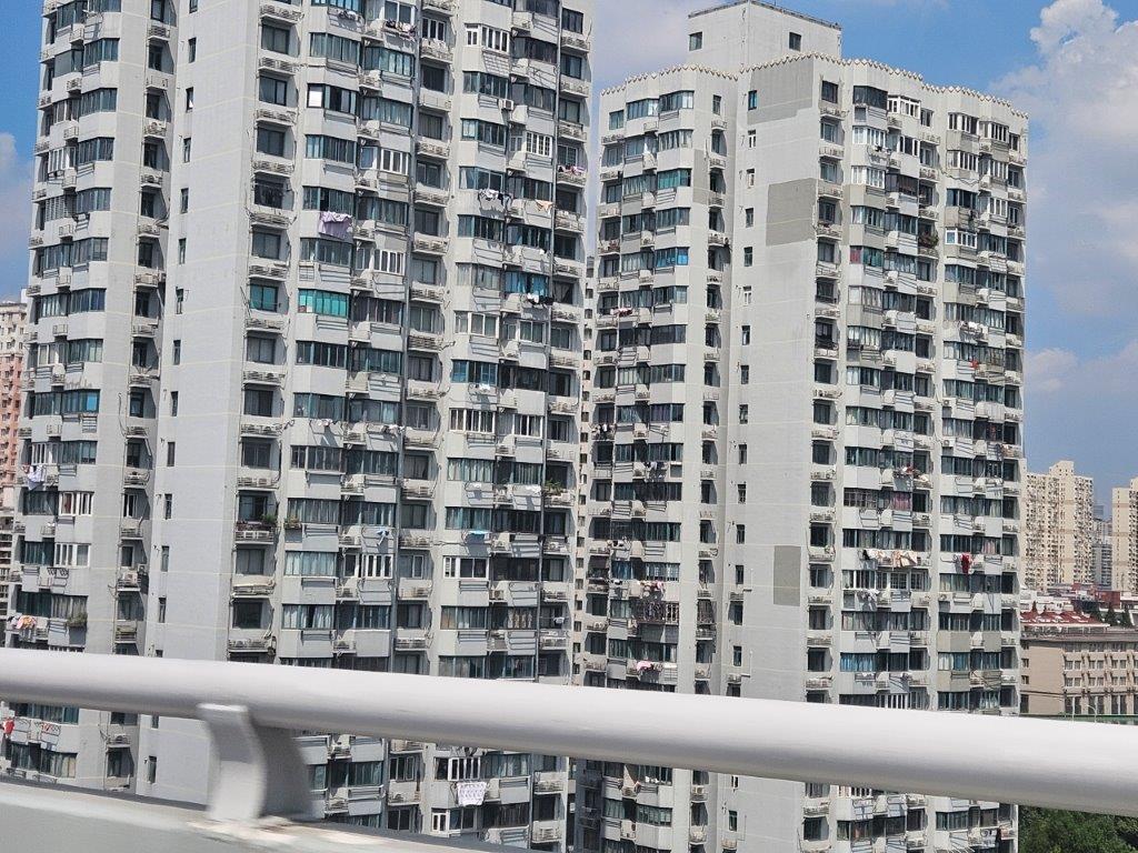 ShanghaiM (6)