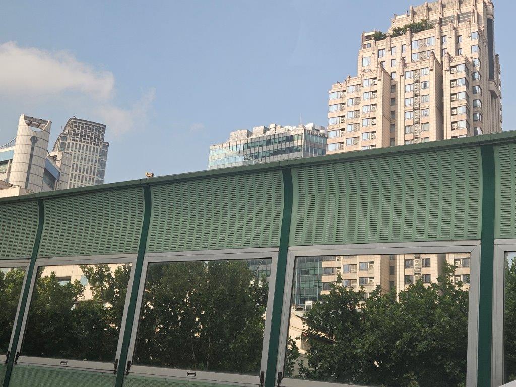ShanghaiM (86)
