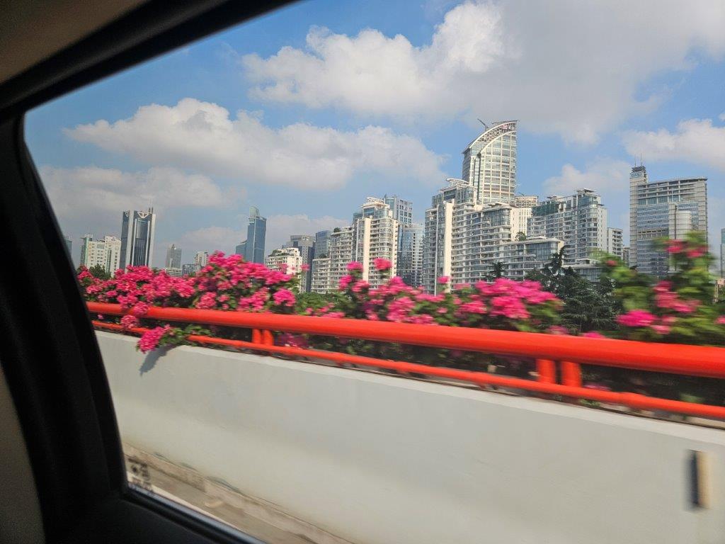 ShanghaiM (88)