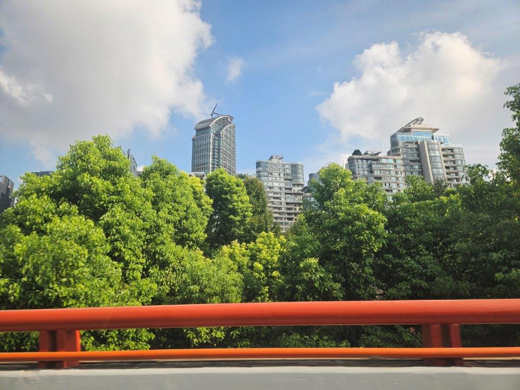 ShanghaiM (90)