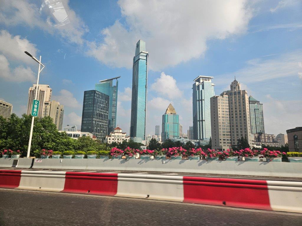 ShanghaiM (91)