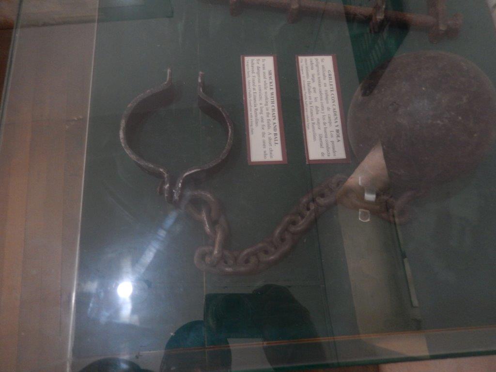 TierraDelFuegoC (182)