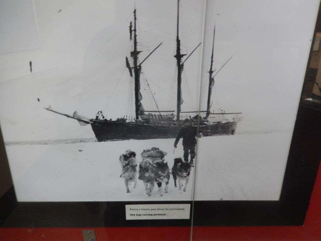 TierraDelFuegoC (201)
