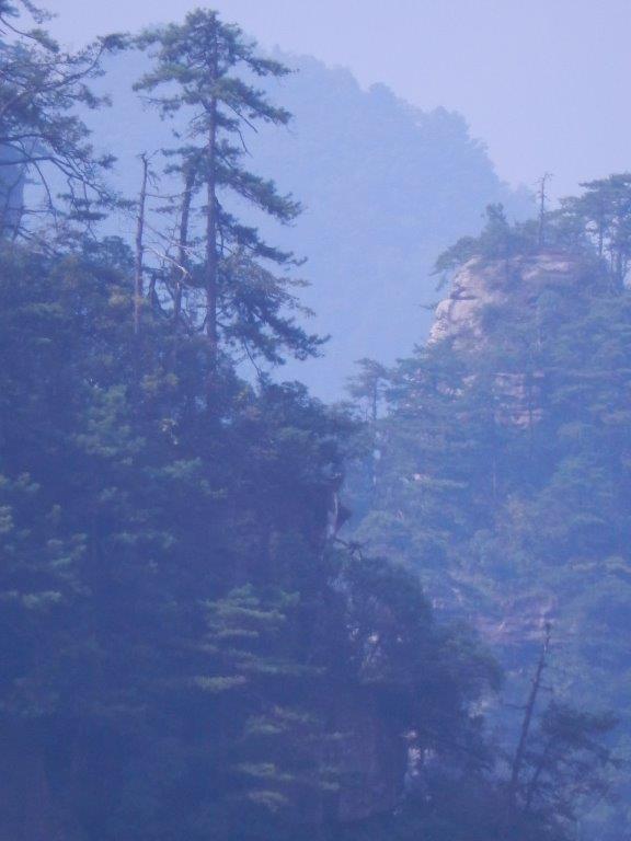YuanjiajieC (16)