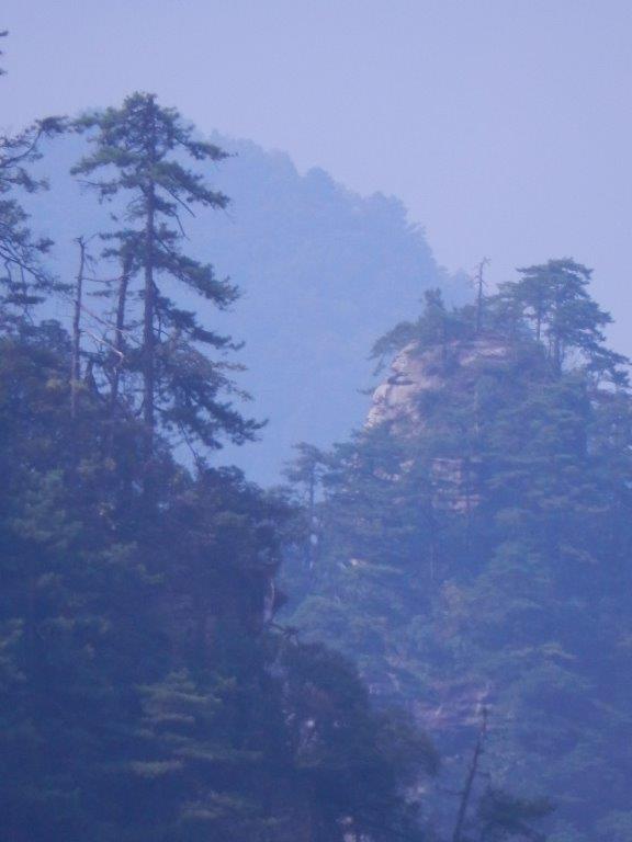 YuanjiajieC (17)