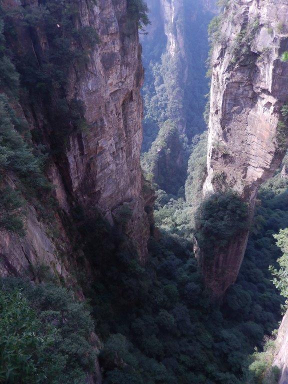 YuanjiajieC (24)