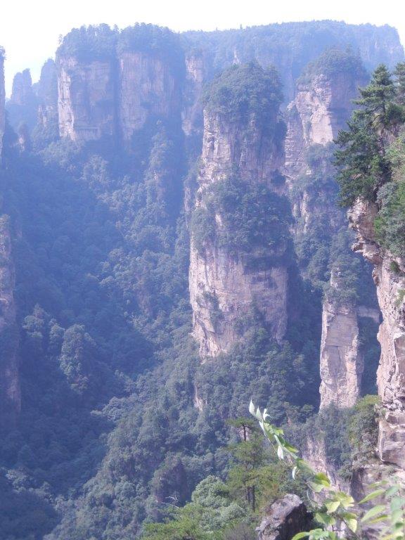 YuanjiajieC (36)