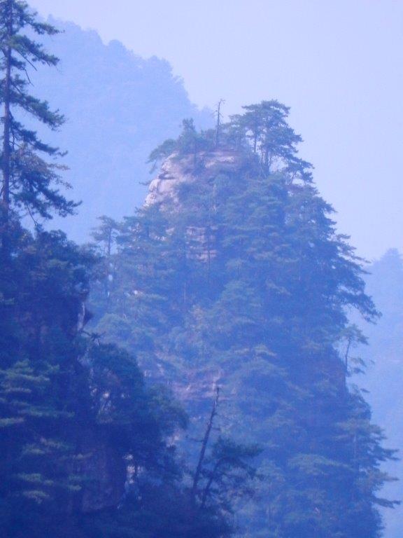 YuanjiajieC (60)