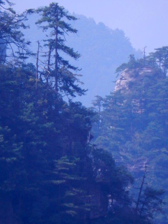 YuanjiajieC (61)