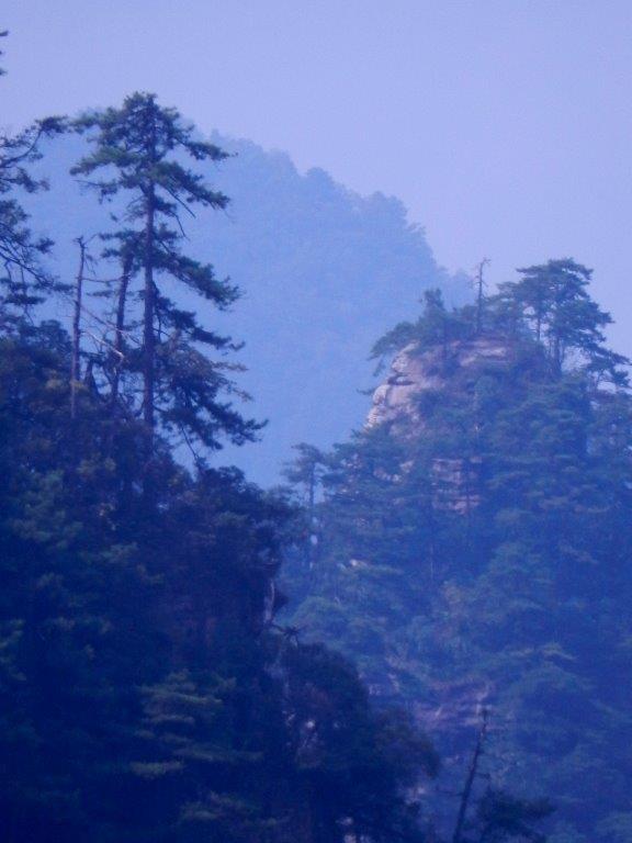 YuanjiajieC (62)