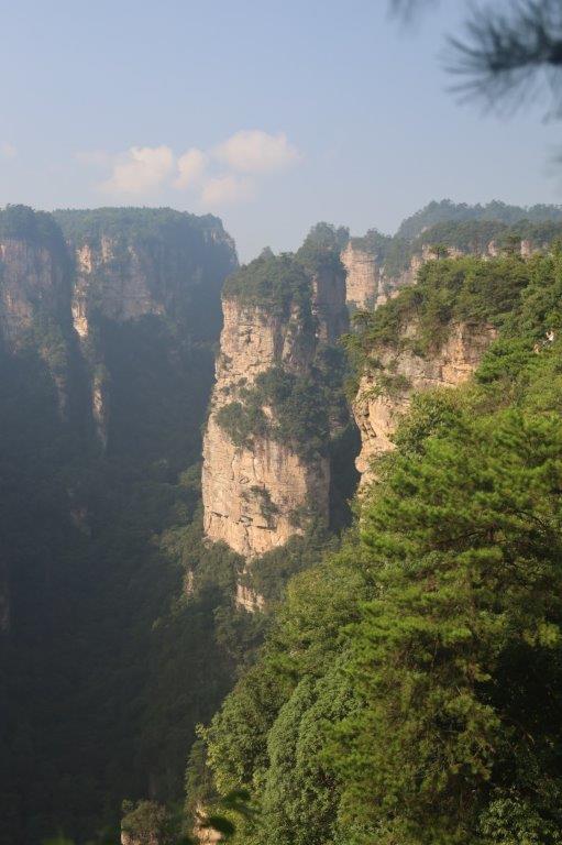 YuanjiajieE (18)