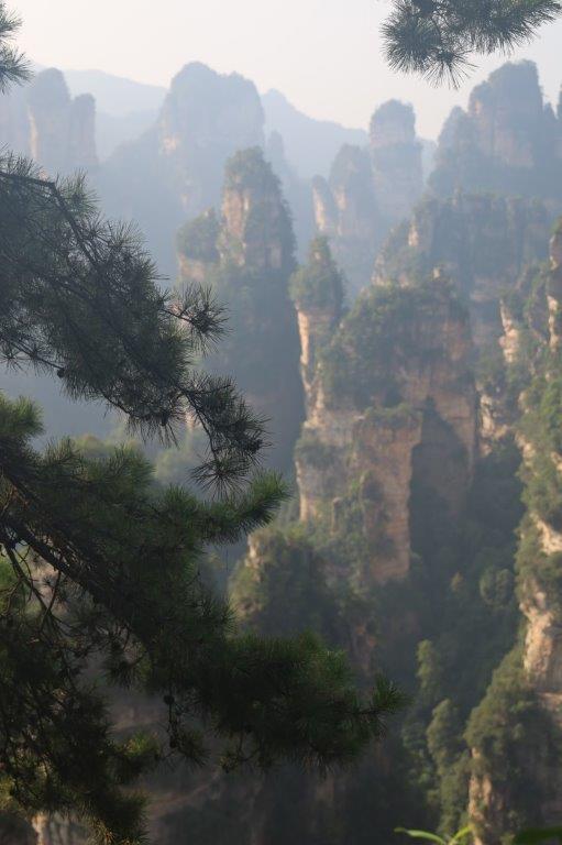YuanjiajieE (19)