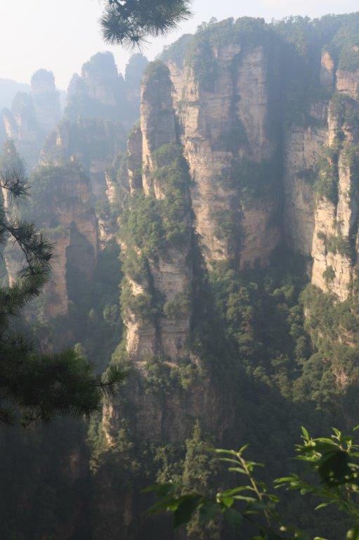 YuanjiajieE (20)