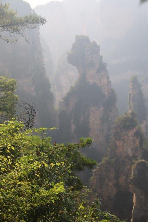 YuanjiajieE (24)