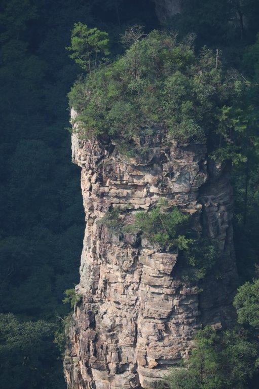 YuanjiajieE (25)