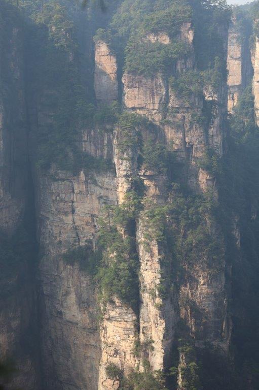 YuanjiajieE (27)