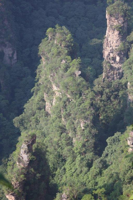 YuanjiajieE (28)