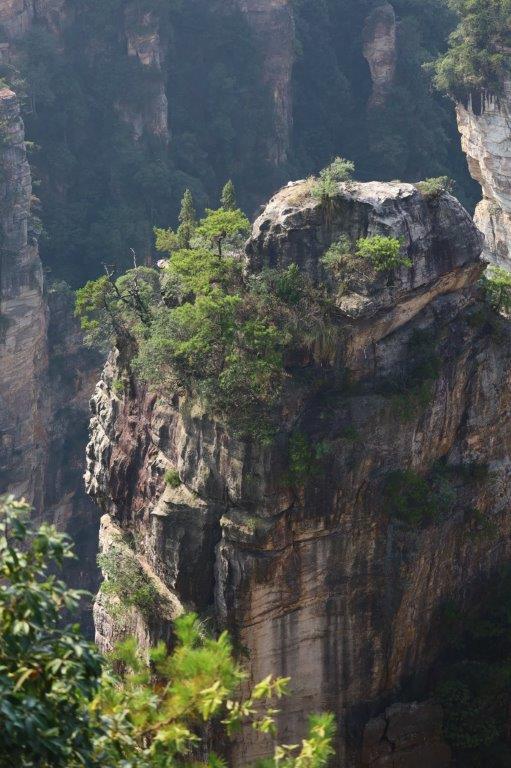 YuanjiajieE (29)