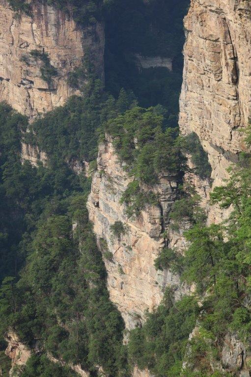 YuanjiajieE (36)