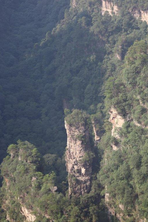 YuanjiajieE (38)